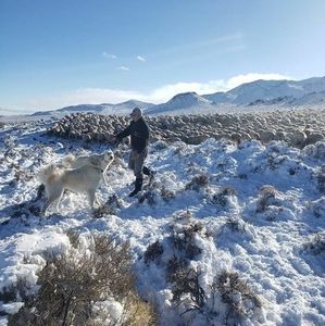 Meet your Posher, Celso